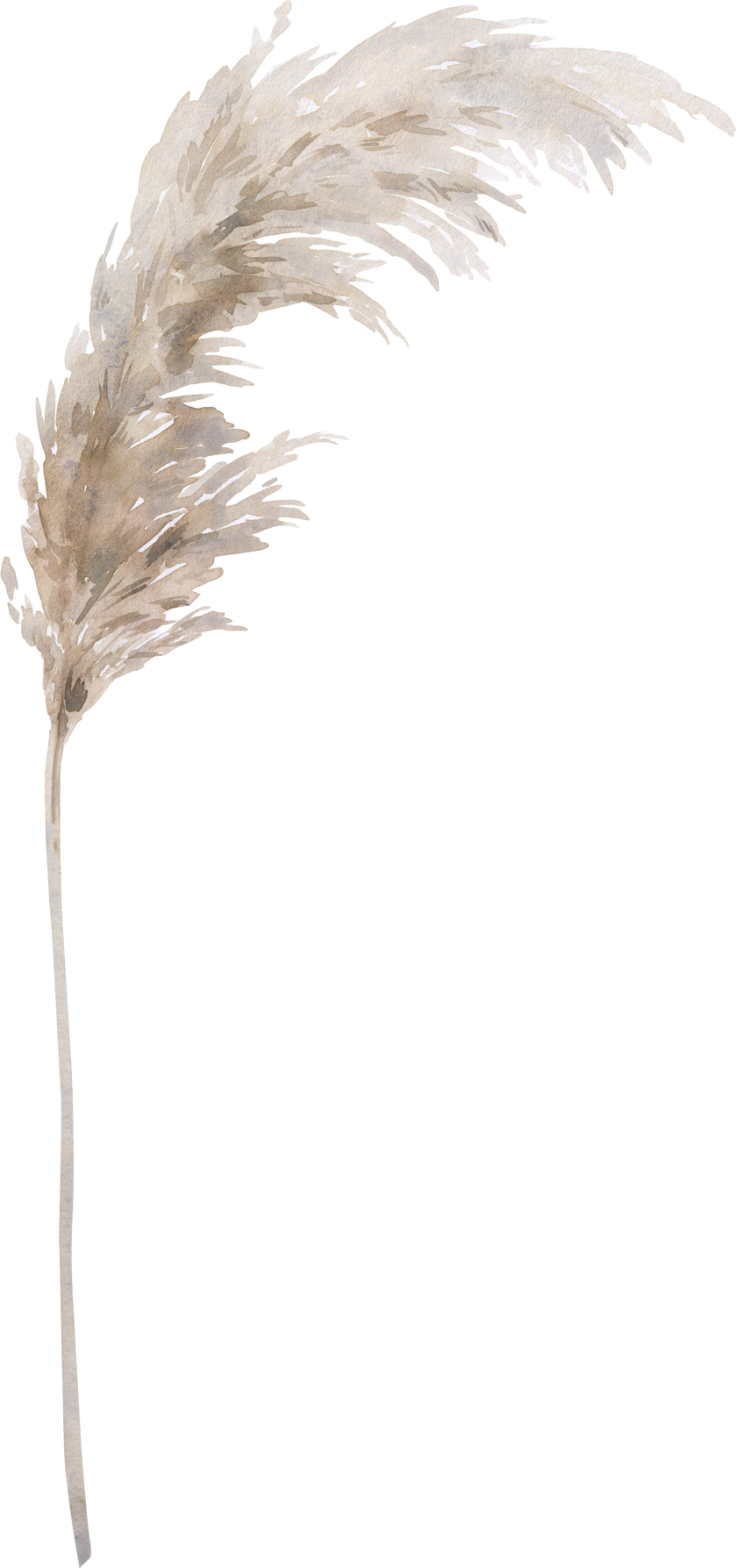 Watercolor Pampas Grass floral neutral beige