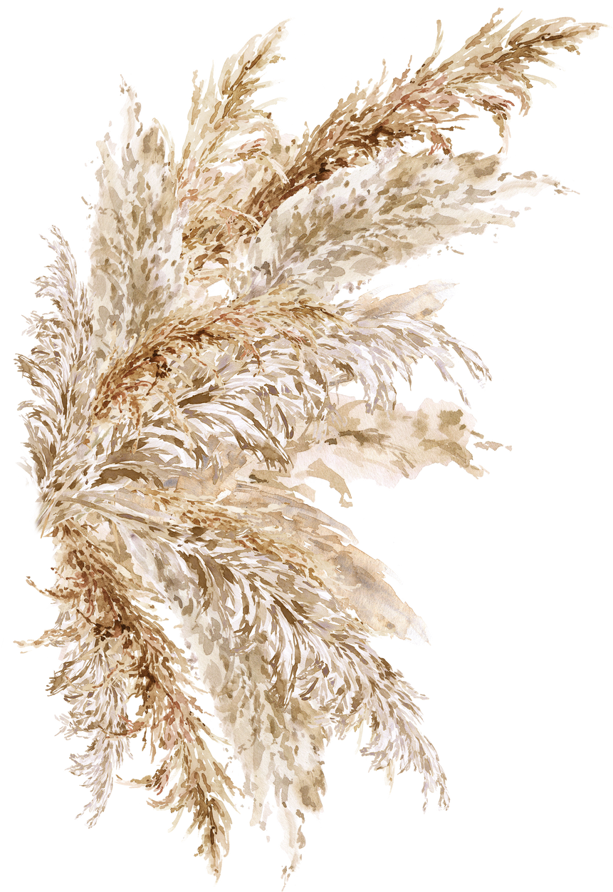 Watercolor Pampas Grass floral neutral beige bouquet